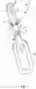 Fig. 04 - Rope hook assembly having a latch member