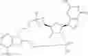 Fig. 167 - Sting agonists