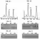 Fig. 02 - Modulation of complement-dependent cytotoxicity through modifications of the C-terminus of antibody heavy chains