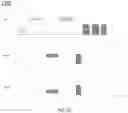 Fig. 15 - Methods of ranging for next generation vehicle-to-everything (NGV) systems
