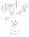 Fig. 02 - Apparatus and methods for conducting ATM transactions