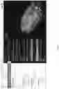Fig. 06 - INTELLIGENT ON-DEMAND CAPTURING OF A PHYSICAL ENVIRONMENT USING AIRBORNE AGENTS