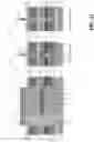 Fig. 12 - Self-aligned gate cut in direct stacked vertical transport field effect transistor (VTFET)