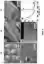 Fig. 04 - Three-dimensional architectured anode, a direct carbon fuel cell including the three-dimensional architectured anode, and related methods