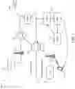 Fig. 02 - MMS termination on different networks