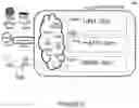 Fig. 06 - Control signaling for supporting multiple services in advanced communication systems