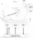 Fig. 01 - Device and method for the geometric determination of electrical dipole densities on the cardiac wall
