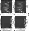 Fig. 22 - Methods of identifying sleep and waking patterns and uses