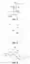 Fig. 03 - Apparatus for creating incisions to improve intraocular lens placement