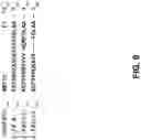Fig. 13 - Prohemostatic proteins for the treatment of bleeding