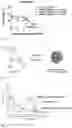 Fig. 06 - Temozolomide compounds, polymers prepared therefrom, and method of treating a disease