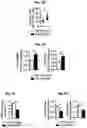 Fig. 06 - Reducing systemic regulatory T cell levels or activity for treatment of a retinal degeneration disorder