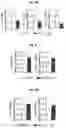 Fig. 09 - Reducing systemic regulatory T cell levels or activity for treatment of a retinal degeneration disorder