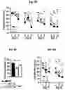 Fig. 10 - Reducing systemic regulatory T cell levels or activity for treatment of a retinal degeneration disorder