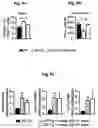Fig. 12 - Reducing systemic regulatory T cell levels or activity for treatment of a retinal degeneration disorder