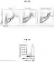 Fig. 14 - Reducing systemic regulatory T cell levels or activity for treatment of a retinal degeneration disorder
