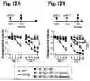 Fig. 19 - Reducing systemic regulatory T cell levels or activity for treatment of a retinal degeneration disorder