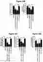 Fig. 21 - Reducing systemic regulatory T cell levels or activity for treatment of a retinal degeneration disorder