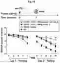 Fig. 22 - Reducing systemic regulatory T cell levels or activity for treatment of a retinal degeneration disorder
