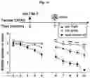 Fig. 24 - Reducing systemic regulatory T cell levels or activity for treatment of a retinal degeneration disorder