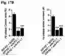 Fig. 26 - Reducing systemic regulatory T cell levels or activity for treatment of a retinal degeneration disorder