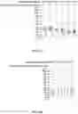 Fig. 10 - Multivalent glycopeptides that tightly bind to target proteins