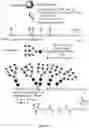 Fig. 15 - Multivalent glycopeptides that tightly bind to target proteins
