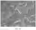 Fig. 06 - Carbon material having coating layer comprising tac, and method for producing said carbon material