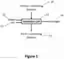 Fig. 02 - METHOD FOR THE OXIDATION AND HYDROTHERMAL DISSOCIATION OF METAL CHLORIDES FOR THE SEPARATION OF METALS AND HYDROCHLORIC ACID