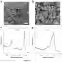 Fig. 12 - Catalysts with sharp reaction interface for electrochemical CO2 reduction with enhanced selectivity