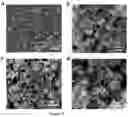 Fig. 22 - Catalysts with sharp reaction interface for electrochemical CO2 reduction with enhanced selectivity