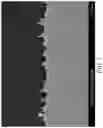 Fig. 08 - Micro-roughened electrodeposited copper foil and copper clad laminate using the same
