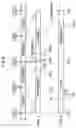 Fig. 09 - Combustion chamber structure for engines