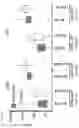 Fig. 30 - Articles of manufacture and methods for treatment using adoptive cell therapy