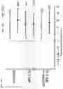 Fig. 32 - Articles of manufacture and methods for treatment using adoptive cell therapy