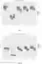 Fig. 02 - COMPOSITIONS AND METHODS FOR FECAL MICROBIOTA TRANSPLANTATION
