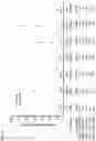 Fig. 07 - Dengue virus e-glycoprotein polypeptides containing mutations that eliminate immunodominant cross-reactive epitopes