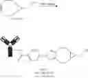 Fig. 33 - Bioconjugates with a controlled degree of conjugation, their process of preparation, and the reagents for their preparation