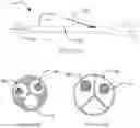 Fig. 16 - Transvascular nerve stimulation apparatus and methods