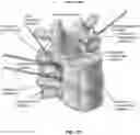 Fig. 68 - METHOD AND APPARATUS FOR CLOSING A FISSURE IN THE ANNULUS OF AN INTERVERTEBRAL DISC, AND/OR FOR EFFECTING OTHER ANATOMICAL REPAIRS AND/OR FIXATIONS
