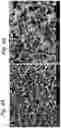 Fig. 07 - A method for producing a metallic structure and a metallic structure obtainable by the method