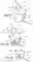 Fig. 12 - Bicycle operating device