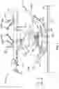 Fig. 02 - Aircraft transmission test fixture and system