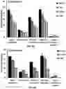 Fig. 09 - Mitoketoscins: mitochondrial-based therapeutics targeting ketone metabolism in cancer cells