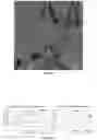Fig. 06 - Method for fabricating carbon nanoparticle polymer matrix composites using electromagnetic irradiation