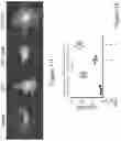 Fig. 04 - Engineered TSC2
