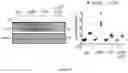 Fig. 75 - Engineered TSC2