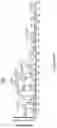 Fig. 76 - Engineered TSC2