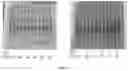 Fig. 82 - Engineered TSC2