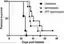 Fig. 01 - T cells with reduced surface fucosylation and methods of making and using the same